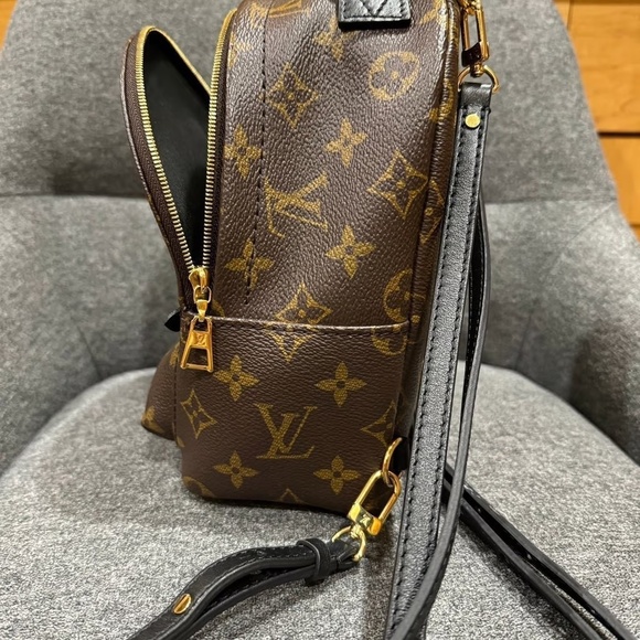 Louis Vuitton Palm Springs mini - Picture 7 of 12